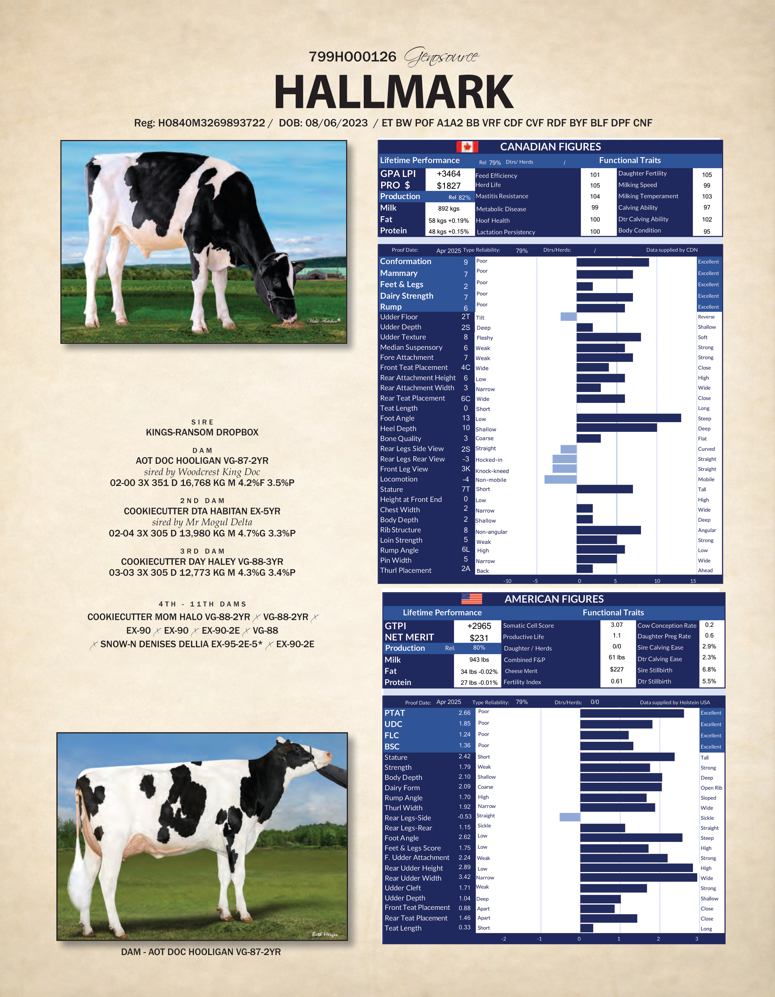 HALLMARK — 799HO00126